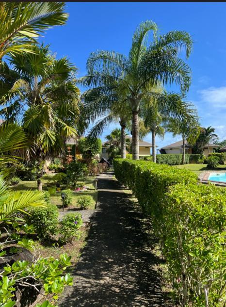 Bungalow Tipanier - Vue Parfaite Tevaitoa Bagian luar foto